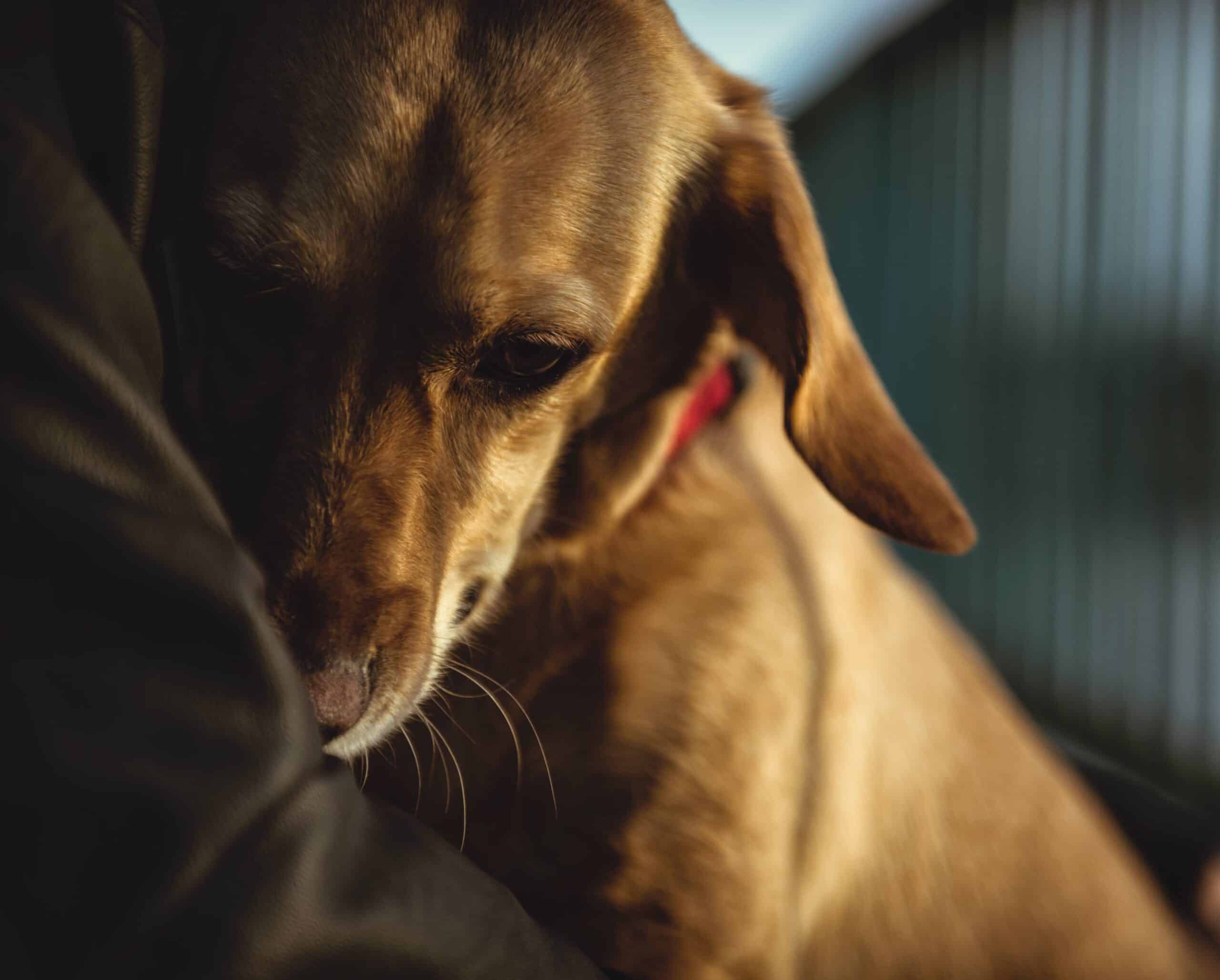 Supportive and Respectful End-of-Life Care