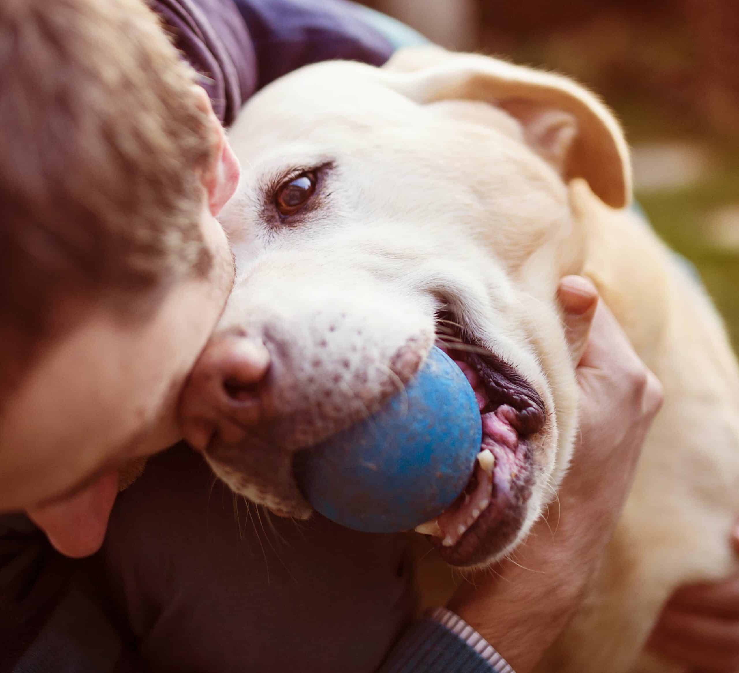 Take the Next Step with Lake Marion Animal Hospital
